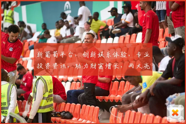 新葡萄平台，创新娱乐体验，专业投资资讯，助力财富增长，两大亮点不容错过