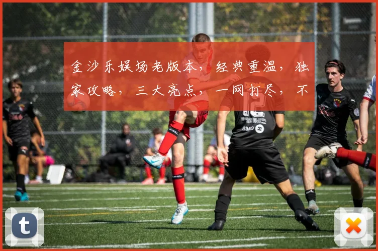金沙乐娱场老版本，经典重温，独家攻略，三大亮点，一网打尽，不容错过