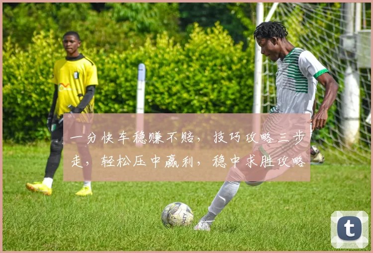 一分快车稳赚不赔，技巧攻略三步走，轻松压中赢利，稳中求胜攻略分享，必看