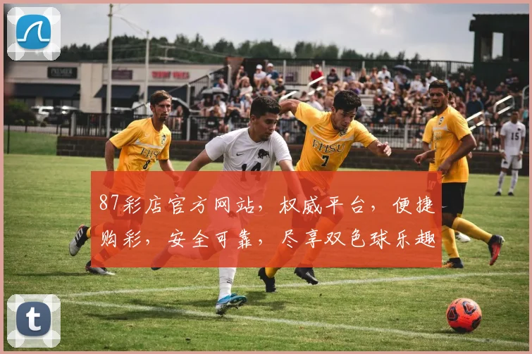 87彩店官方网站，权威平台，便捷购彩，安全可靠，尽享双色球乐趣