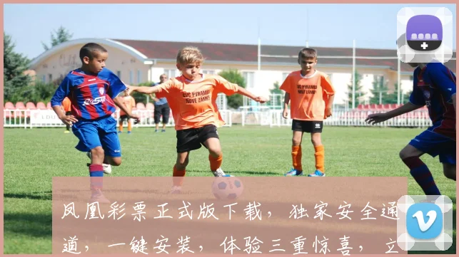 凤凰彩票正式版下载，独家安全通道，一键安装，体验三重惊喜，立即抢购，不容错过