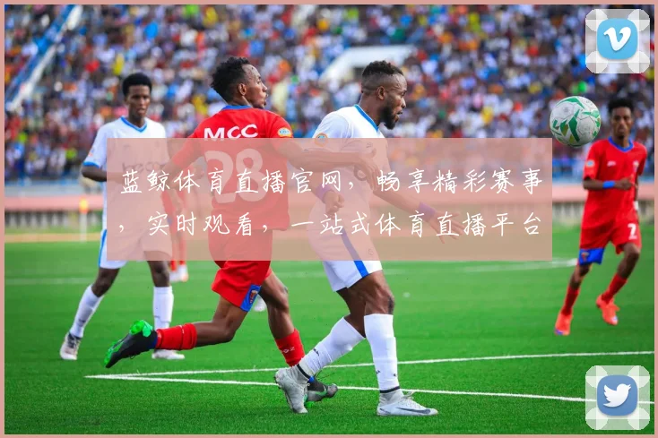 蓝鲸体育直播官网，畅享精彩赛事，实时观看，一站式体育直播平台，三网通，体验非凡