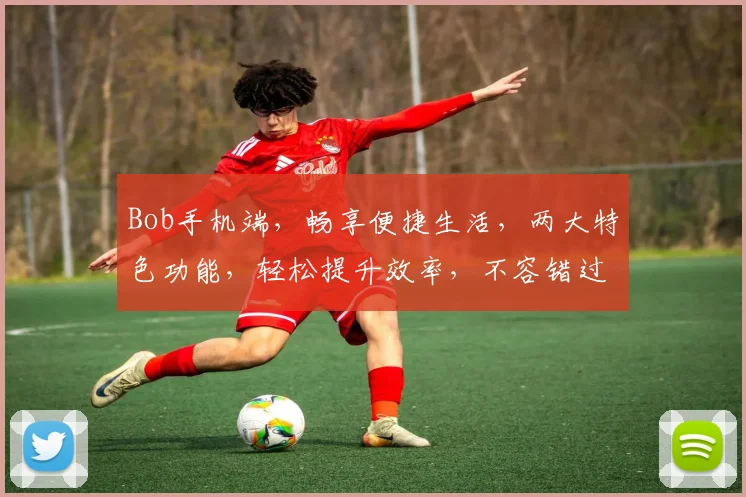 Bob手机端，畅享便捷生活，两大特色功能，轻松提升效率，不容错过